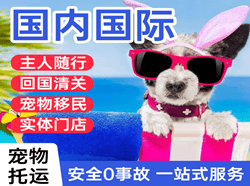长沙黄花航空快递国际宠物托运 【国